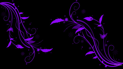 833592 (a): :1920x1080